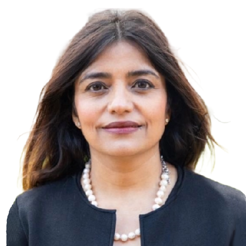 Advisory Council Diversity Economics Institute Global DEI Research 